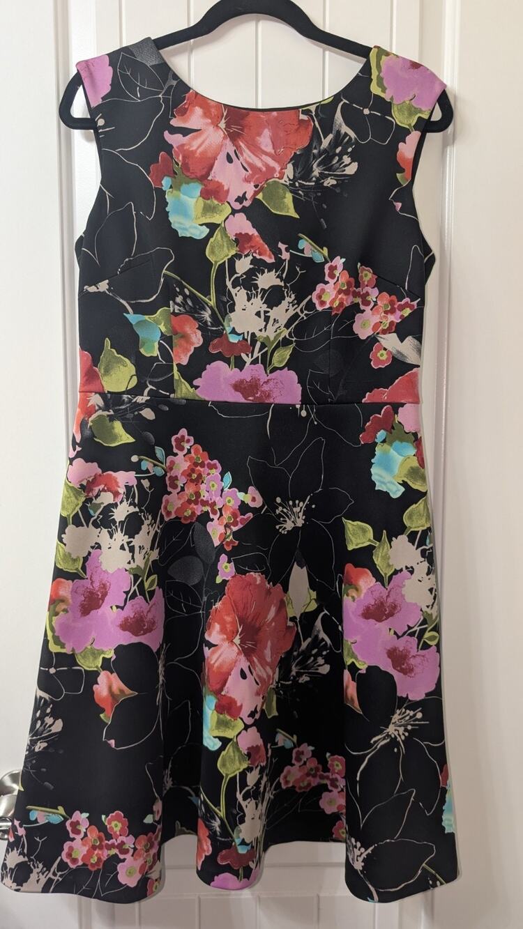 Adrianna Papell Black Multicolor Floral Sleeveless V-Neck A-Line Dress 10